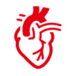 Cardiovascular1